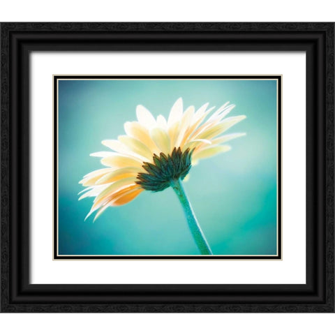 Vanity Black Ornate Wood Framed Art Print with Double Matting by Cochrane, Carolyn