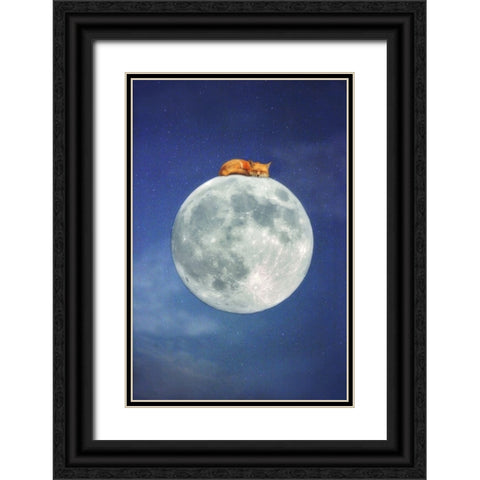 Fox Sleeping on Moon Black Ornate Wood Framed Art Print with Double Matting by Grippo-Pike, Carrie Ann