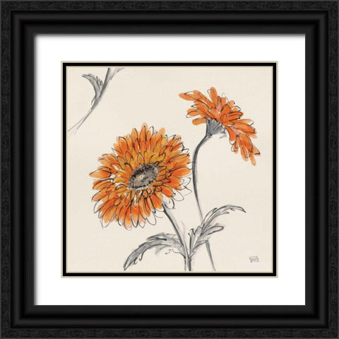 Orange Gerbera II Black Ornate Wood Framed Art Print with Double Matting by Paschke, Chris