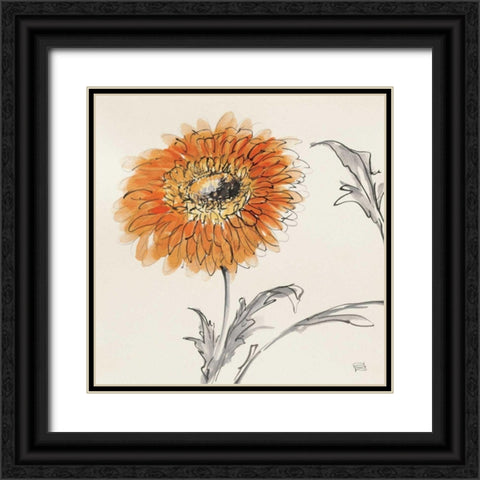 Orange Gerbera III Black Ornate Wood Framed Art Print with Double Matting by Paschke, Chris