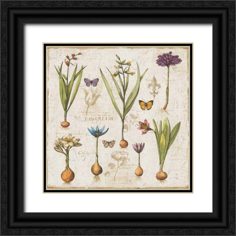 Histoire Naturelle V Black Ornate Wood Framed Art Print with Double Matting by ERR, Pela
