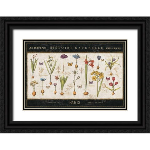 Histoire Naturelle I Black Ornate Wood Framed Art Print with Double Matting by ERR, Pela
