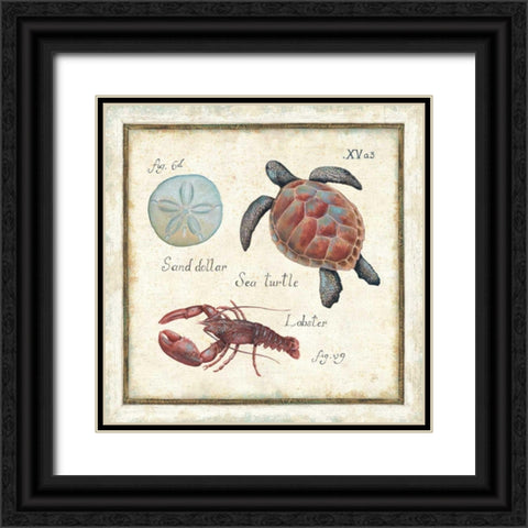 Oceanography II Black Ornate Wood Framed Art Print with Double Matting by Brissonnet, Daphne
