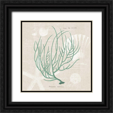 Gorgonia Miniacea Black Ornate Wood Framed Art Print with Double Matting by Wild Apple Portfolio