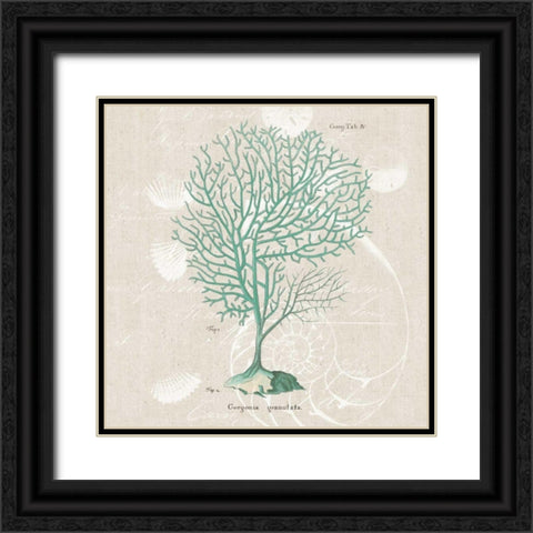 Gorgonia Granulata Black Ornate Wood Framed Art Print with Double Matting by Wild Apple Portfolio