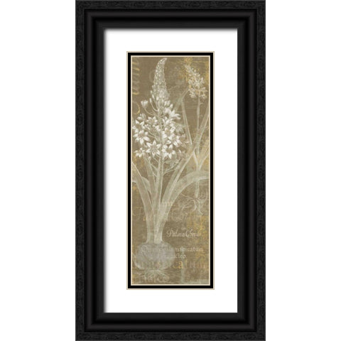 Flower Lines II Black Ornate Wood Framed Art Print with Double Matting by Schlabach, Sue