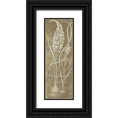 Flower Lines III Black Ornate Wood Framed Art Print with Double Matting by Schlabach, Sue