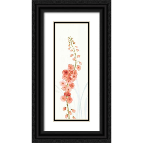 Rainbow Seeds Flowers VII Coral Black Ornate Wood Framed Art Print with Double Matting by Audit, Lisa