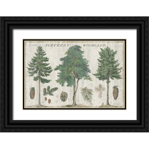Woodland Chart I Black Ornate Wood Framed Art Print with Double Matting by Schlabach, Sue