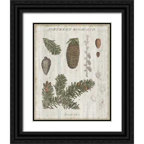 Woodland Chart IV Black Ornate Wood Framed Art Print with Double Matting by Schlabach, Sue