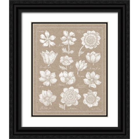 Anemone Plate I Black Ornate Wood Framed Art Print with Double Matting by Wild Apple Portfolio