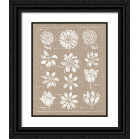 Anemone Plate II Black Ornate Wood Framed Art Print with Double Matting by Wild Apple Portfolio