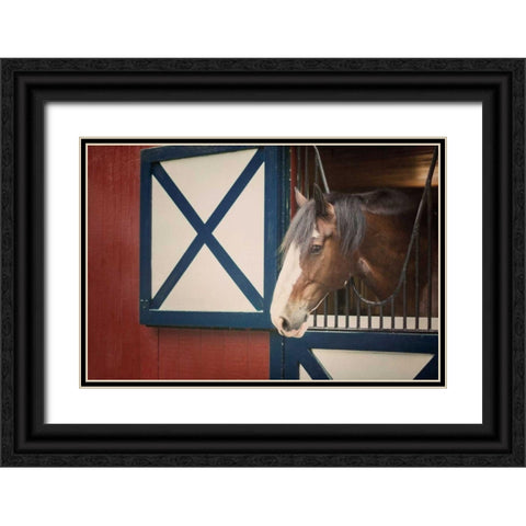 Patriotic Pony I Black Ornate Wood Framed Art Print with Double Matting by Urquhart, Elizabeth