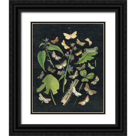 Butterfly Bouquet on Black III Black Ornate Wood Framed Art Print with Double Matting by Wild Apple Portfolio