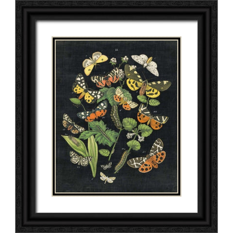 Butterfly Bouquet on Black IV Black Ornate Wood Framed Art Print with Double Matting by Wild Apple Portfolio