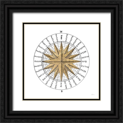 Solar Globe II Black Ornate Wood Framed Art Print with Double Matting by Schlabach, Sue