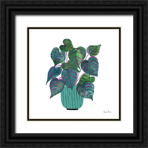 Potted Jewels I Aqua Black Ornate Wood Framed Art Print with Double Matting by Zaman, Farida