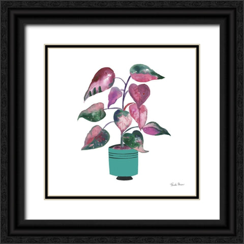 Potted Jewels II Aqua Black Ornate Wood Framed Art Print with Double Matting by Zaman, Farida
