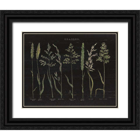 Herbal Botanical VII Black Wood Black Ornate Wood Framed Art Print with Double Matting by Wild Apple Portfolio