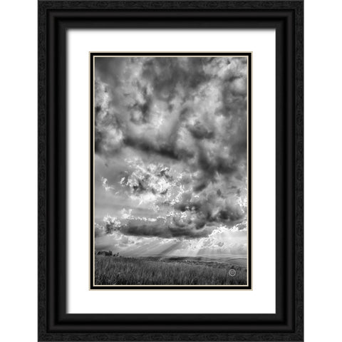 Rolling Pasture Rays Black Ornate Wood Framed Art Print with Double Matting by Larson, Nathan