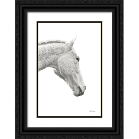 A Horse Named Lady I BW Black Ornate Wood Framed Art Print with Double Matting by Schlabach, Sue