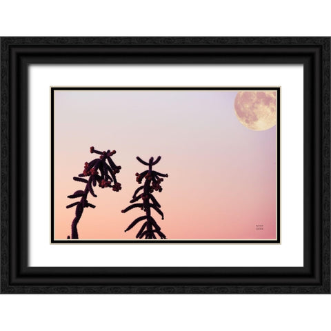 Moon Desert Black Ornate Wood Framed Art Print with Double Matting by Larson, Nathan
