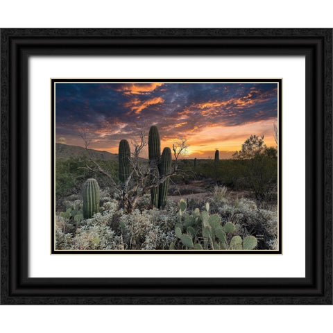 Sunset Moonrise Black Ornate Wood Framed Art Print with Double Matting by Larson, Nathan