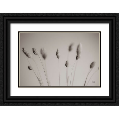 Natural Grasses Black Ornate Wood Framed Art Print with Double Matting by Larson, Nathan