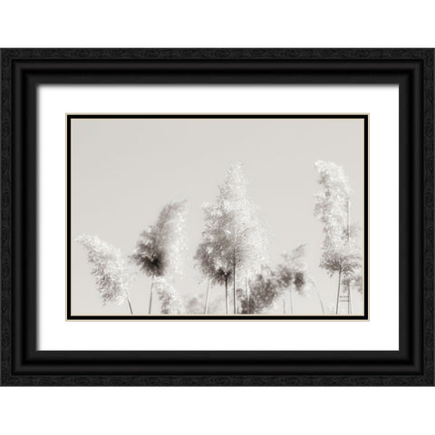In the Wind I Black Ornate Wood Framed Art Print with Double Matting by Larson, Nathan