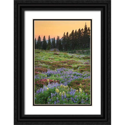 Paradise Wildflower Meadows III Black Ornate Wood Framed Art Print with Double Matting by Majchrowicz, Alan