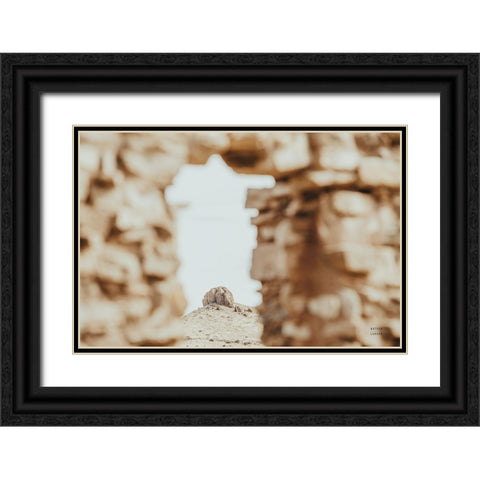 Through Ruins Black Ornate Wood Framed Art Print with Double Matting by Larson, Nathan