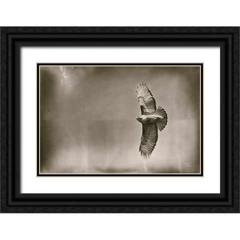 Catch and Fly Black Ornate Wood Framed Art Print with Double Matting by Larson, Nathan