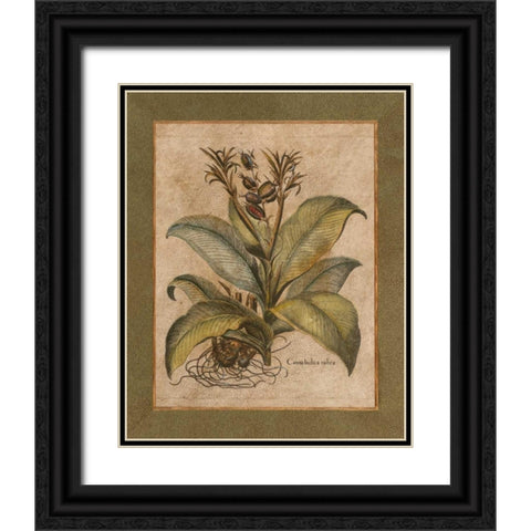 Valencia I Black Ornate Wood Framed Art Print with Double Matting by Alexander, Zachary