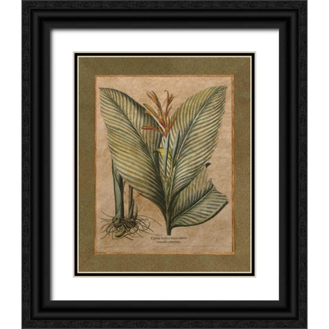 Valencia II Black Ornate Wood Framed Art Print with Double Matting by Alexander, Zachary