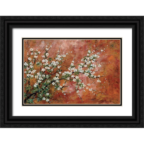 Wild Plum Blossoms Black Ornate Wood Framed Art Print with Double Matting by Alexander, Zachary