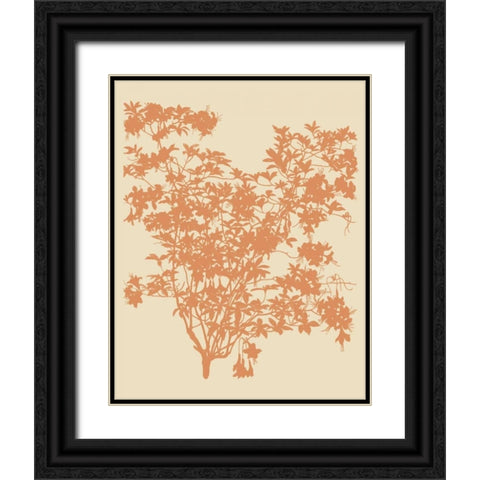 All American I Black Ornate Wood Framed Art Print with Double Matting by Davies, Susan