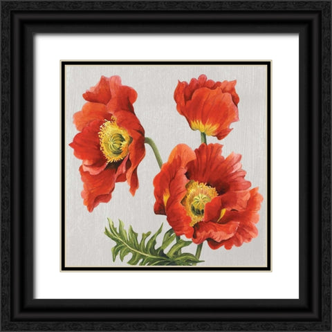 Poppies on Silk Black Ornate Wood Framed Art Print with Double Matting by Shelby, Judy