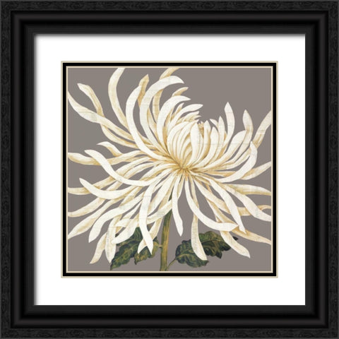 Glorious Whites I Black Ornate Wood Framed Art Print with Double Matting by Shelby, Judy