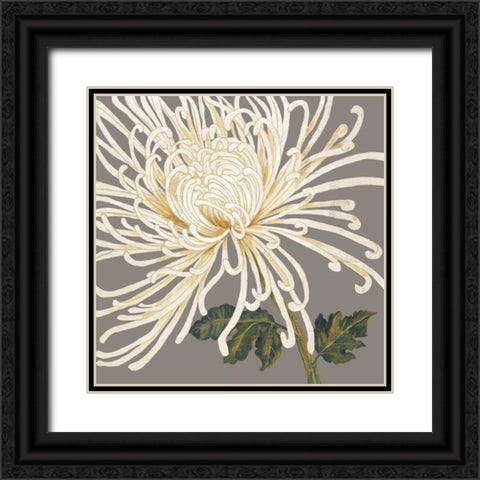 Glorious Whites II Black Ornate Wood Framed Art Print with Double Matting by Shelby, Judy