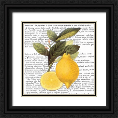 Citrus Edition I Black Ornate Wood Framed Art Print with Double Matting by Bannister, Cory