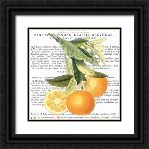 Citrus Edition II Black Ornate Wood Framed Art Print with Double Matting by Bannister, Cory