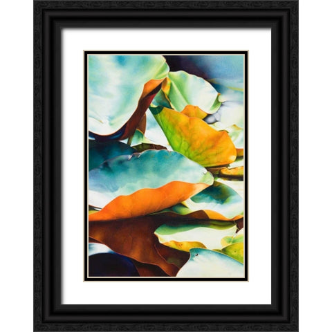 Nymphea 3 Black Ornate Wood Framed Art Print with Double Matting by Koch, Angelika
