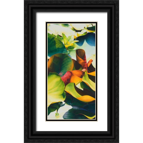 Nymphea 4 Black Ornate Wood Framed Art Print with Double Matting by Koch, Angelika