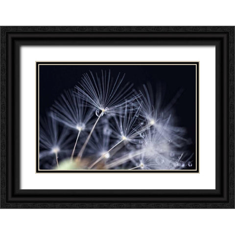 Schonheit Black Ornate Wood Framed Art Print with Double Matting by Rossmeissl, Gerhard