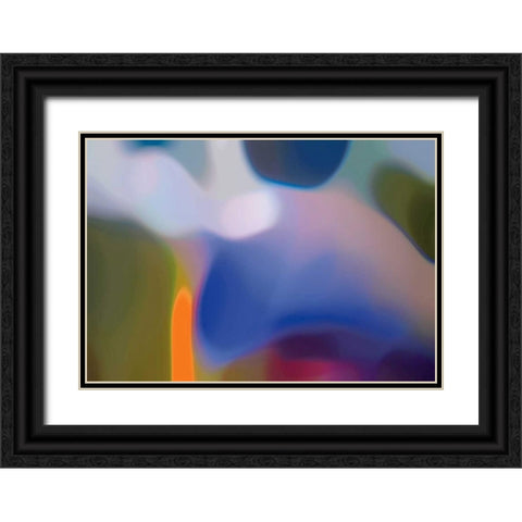 Evolution 11 Black Ornate Wood Framed Art Print with Double Matting by Klipp, Ortwin