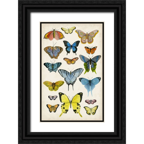 Butterfly Taxonomy II Black Ornate Wood Framed Art Print with Double Matting by McCavitt, Naomi