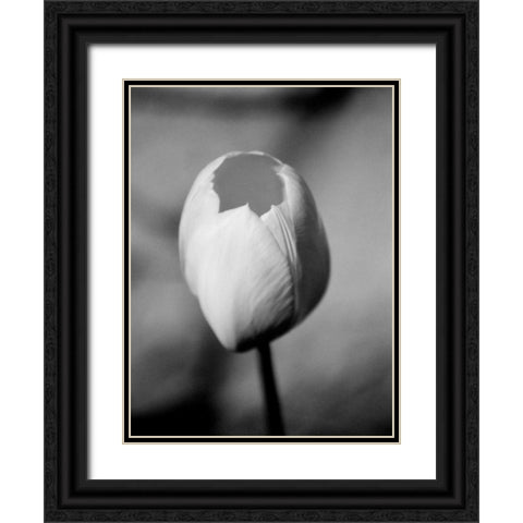 Floral Portrait I Black Ornate Wood Framed Art Print with Double Matting by Pica, Jeff