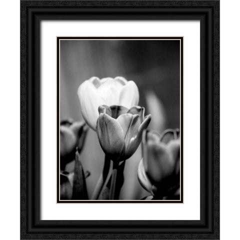 Floral Portrait II Black Ornate Wood Framed Art Print with Double Matting by Pica, Jeff