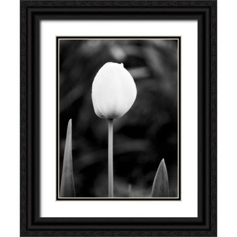 Floral Portrait III Black Ornate Wood Framed Art Print with Double Matting by Pica, Jeff