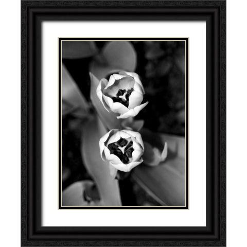 Floral Portrait IV Black Ornate Wood Framed Art Print with Double Matting by Pica, Jeff